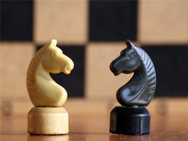 o polze prav strategii