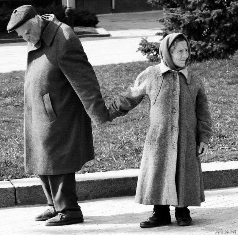 protivnie starie roditeli