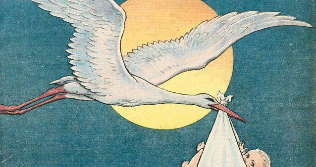 seksualnoe vospitanie