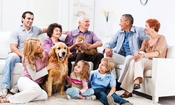 sekteti scastlivih semej