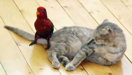 cto delatj muz nagleet