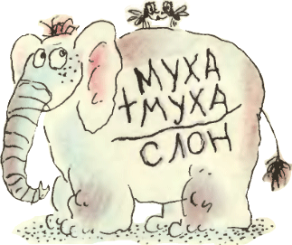iz muxi slon
